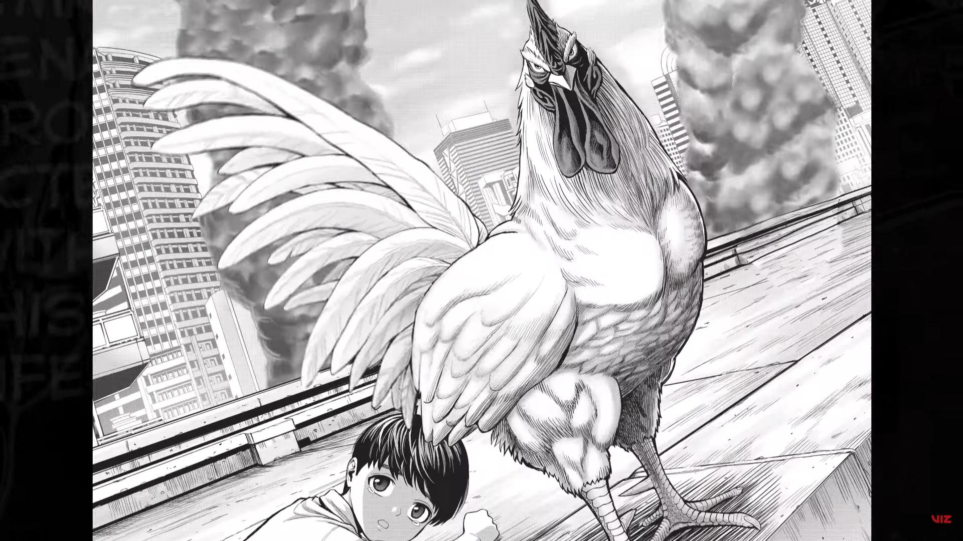 rooster fighter anime